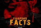Yaa Pono – Facts (Shatta Wale, Sarkodie Diss)-810x851