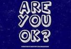 Shatta Wale – Are You Ok
