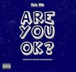 Shatta Wale – Are You Ok