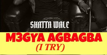 Shatta Wale - M3gya Agbagba (I Try)