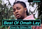 DjNice DM - Best Of Omah Lay Mix