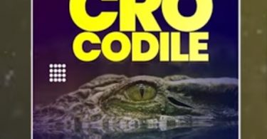 Maccasio - Crocodile