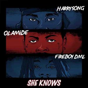 harrysong_she_knows_ft_olamide_and_fireboy_dml