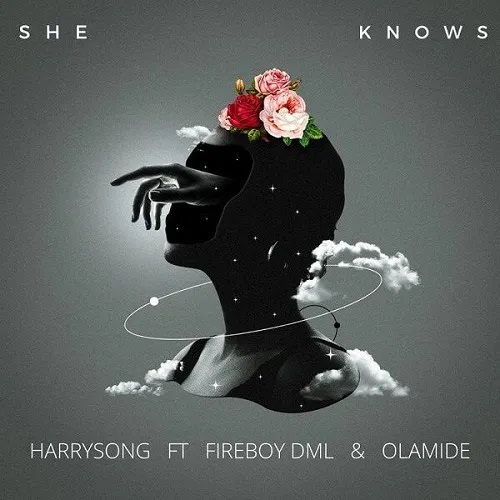 Harrysong – She Knows Ft. Olamide x Fireboy DML
