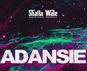 Shatta Wale - Adansie (Testimony)