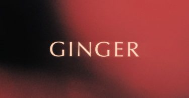 King Promise - Ginger (Prod By Jae5)