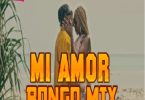 DJ Lyta Mi Amor Bongo Mix 2022 jpg