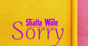 Shatta Wale Sorry Oneclickghana com mp3 image