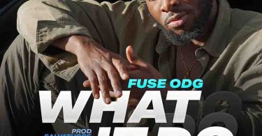 Fuse ODG - What It Do