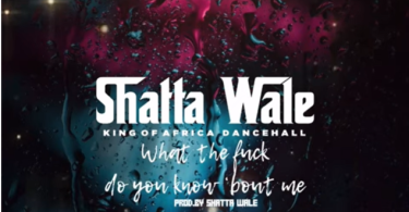Shatta Wale - What The Fvck Do You Know Bout Me