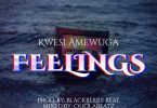 Kwesi Amewuga - Feelings (New Song)
