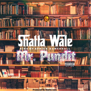 Shatta Wale - Mr Pundit